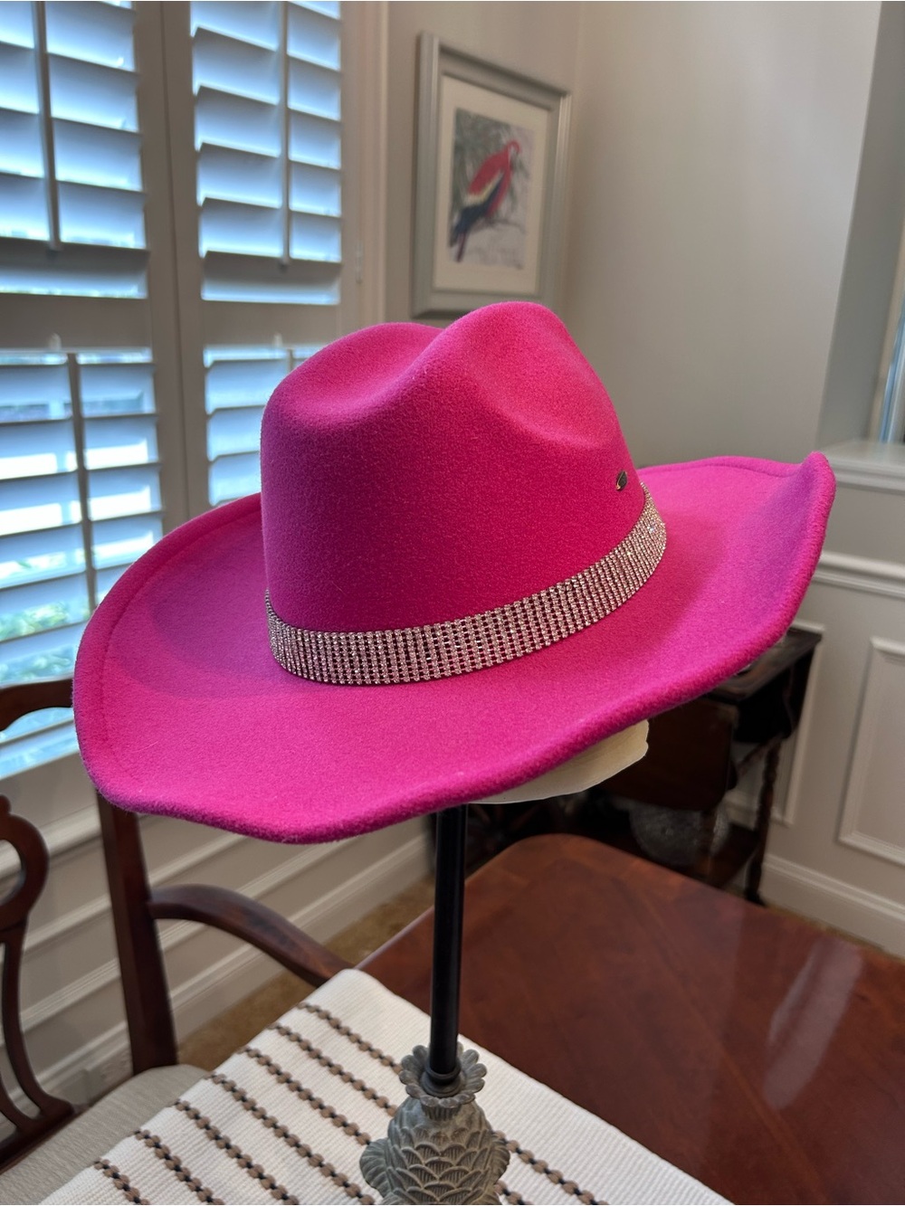Hot Pink Felt Rhinestone Brim Cowgirl Hat